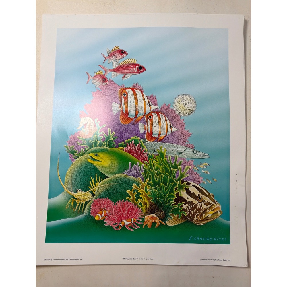 VINTAGE 1989 Fred K Cheney Harlequin Reef Art Print Unisex 24x20 Multicolor Good